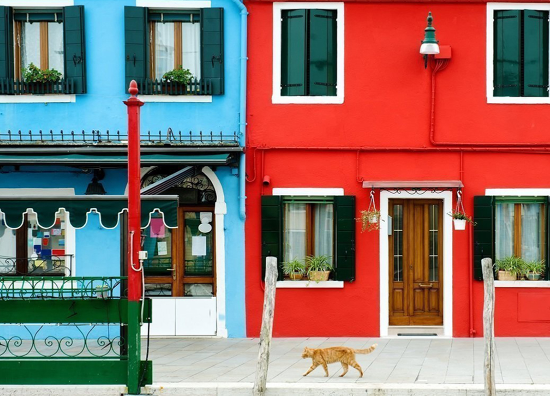 A red cat and colorful buildings in Burano, Venice, Italy